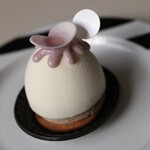 アステリスク - アガパンサス