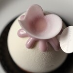 アステリスク - アガパンサス