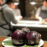 スガラボヴィー - 