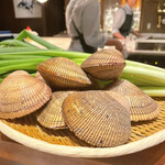 スガラボヴィー - 