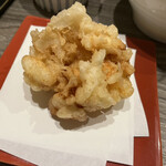 大衆天ぷらtoかすそば風土.はなれ - 海鮮かきあげ　　495円
