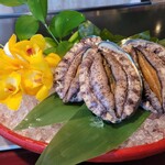 表参道うかい亭 - 