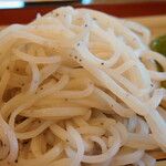 和か菜 - ”更科”、高級感あふれる真っ白な"更科”に”ケシの実”を打ち込んでいます。