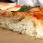 CAFE 33 - 【マルゲリータ】ピザというよりフォカッチャに近い食感