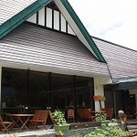 roots cafe - 