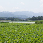 旬菜しゃぶ重 - 滝沢牧場から甲府に行く途中