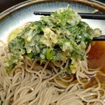 ふじ - 密度高目な春菊