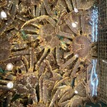 北のどんぶり屋 滝波食堂 - 