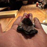 マキノンチ - 
