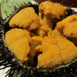 亀喜寿司 - がぜ(うに)です　まいう！