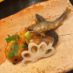 懐石料理 はし本 - 