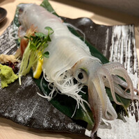 鮨 からす 十三店 -  鮨 からす 十三店 -