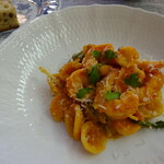 ジューダバレリーノ - 海老のﾄﾏﾄｸﾘｰﾑｿｰｽ(ｵﾚｹｯﾃｨ)