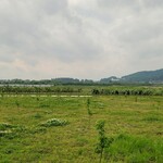 モンブランスタイル - 