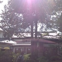 横浜うかい亭 - 