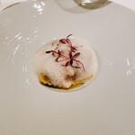 カンテサンス - 