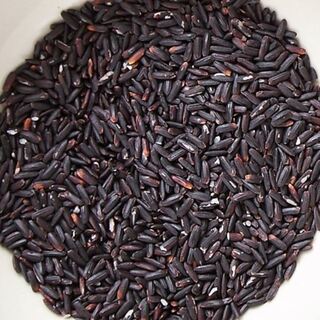 石垣島カレー 南風_1