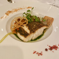 THE KOBECRUISE コンチェルト - 
