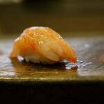 鮨 難波 - 甘エビ。 生でいただくとアミノ酸由来の甘みに近い強烈な旨味が広がる富山湾自慢のタネです。