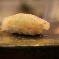 鮨 難波 - きじはた。 しっかりした食感と旨味あふれる高級魚です。