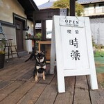 喫茶 時薬 - 看板犬のはなちゃん