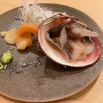 木挽町 とも樹 - 