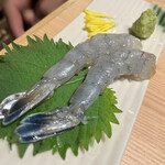 魚馬る ふぶき - 天使のえび