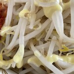 ラーメン もっけだの - 2023.5限定『まぜそばニボGニンニク野菜マシマシ』の野菜、カラシマヨネーズ