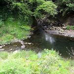 谷川米穀店 - 横の川