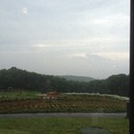 くるるの杜 農村レストラン - 席からの景色