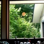 カフェ オトノ - 大きな窓からは、むせ返る緑が・・・