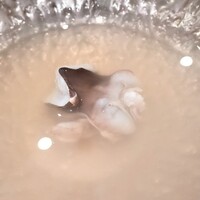 蓬左茶寮 - 鳥貝しゃぶしゃぶ