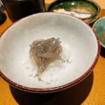 日本料理FUJI - 生シラスご飯