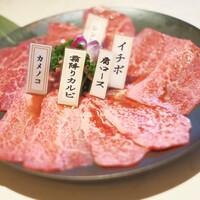 PONGA PREMIUM - 赤身盛り5種盛り