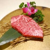 PONGA PREMIUM - シャトーブリアン