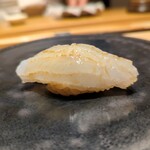 鮨 唐島 - アオリイカ