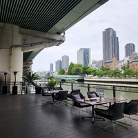 スミレオオサカ - 