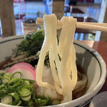 マクサうどん - まるみを帯びた麺ですね