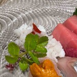 銀座 泉 - 造り２