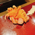 築地 男前鮓 - 赤貝