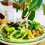 NEWLIGHT - 本日のサラダ