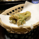 よし町 - ◆山菜
      山菜年中食べたい。養殖してないのかしら。