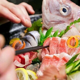 A neo-popular Izakaya (Japanese-style bar) you can easily enjoy the finest horse sashimi and live fish sashimi.