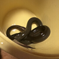 日本料理 梅林 - 