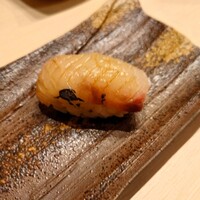 博多 鮨 まつもと - 