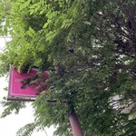 田園調布倶楽部 - 