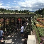 Biltmore Winery - 美しいとしか言えない園内の景色