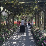 Biltmore Winery - 個人の邸宅だなんて信じられない