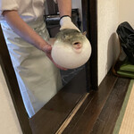 ふぐ御料理處 でん - 