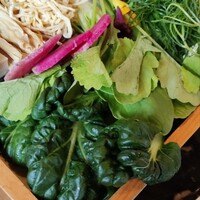 シャングリラズシークレット 銀座店 - 野菜